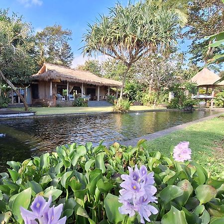 Bali Beach Eco Villas Pondok Matekap Selemadeg  ภายนอก รูปภาพ