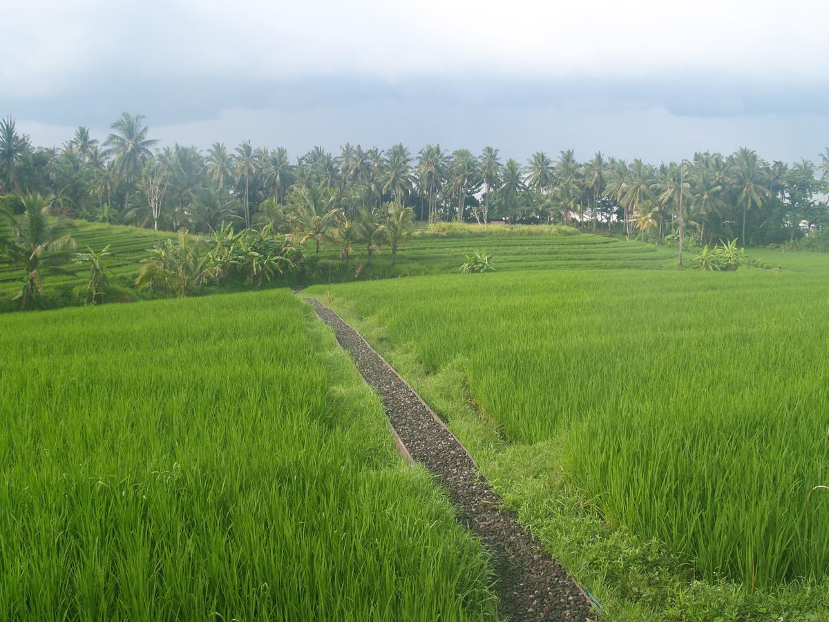 Bali Beach Eco Villas Pondok Matekap Selemadeg  ภายนอก รูปภาพ