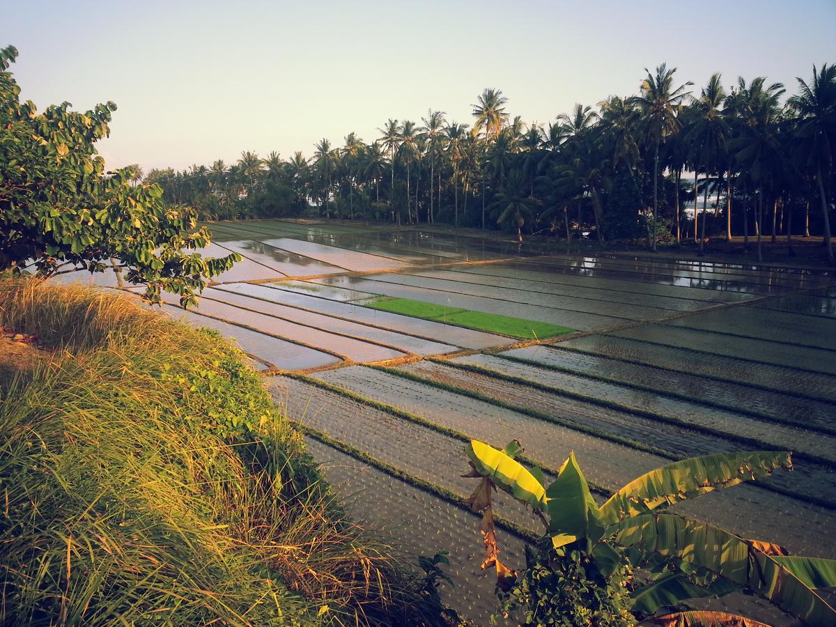 Bali Beach Eco Villas Pondok Matekap Selemadeg  ภายนอก รูปภาพ