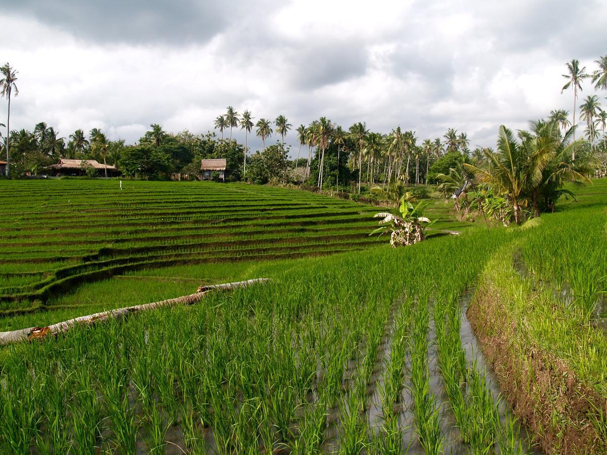 Bali Beach Eco Villas Pondok Matekap Selemadeg  ภายนอก รูปภาพ