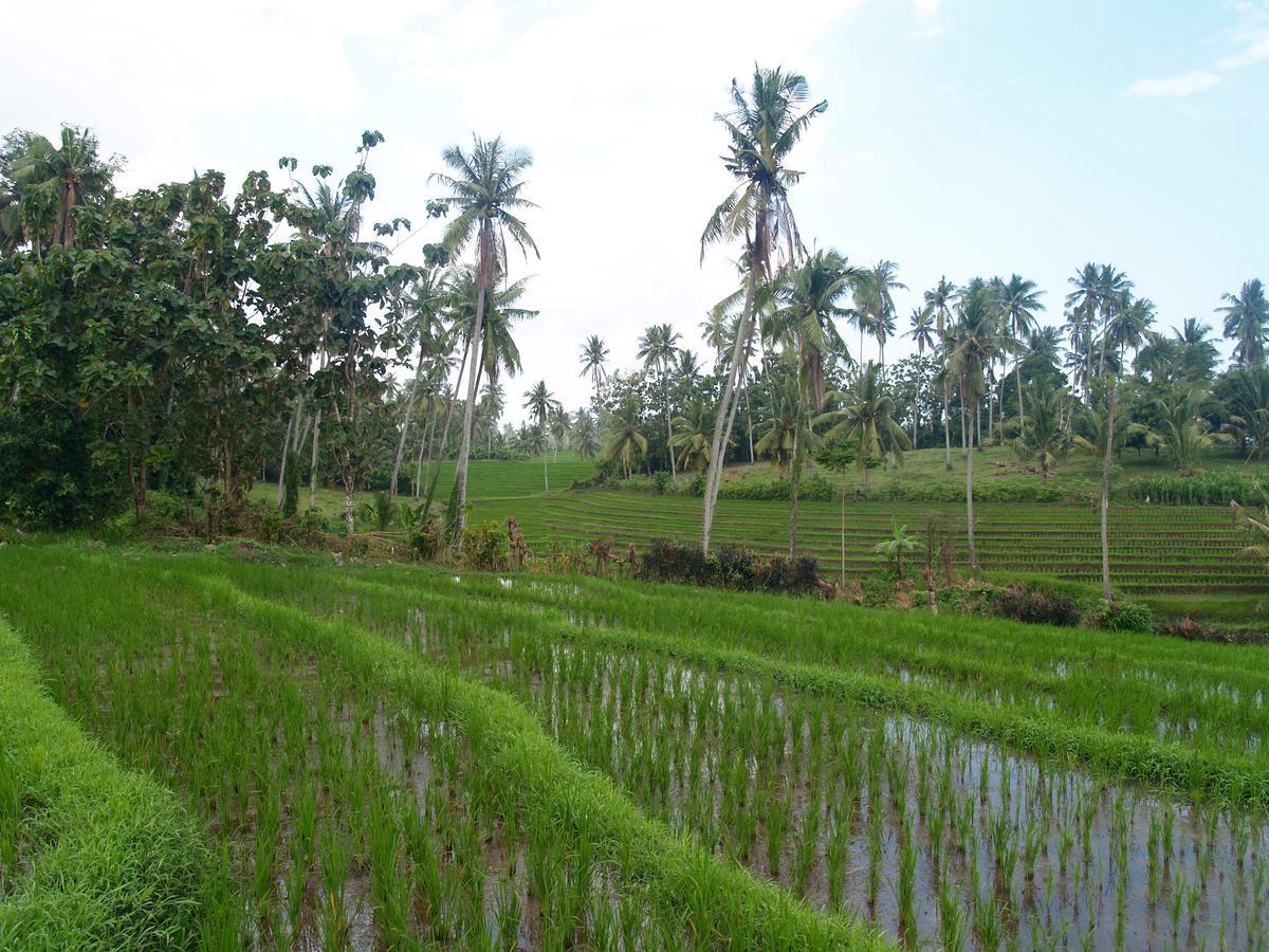 Bali Beach Eco Villas Pondok Matekap Selemadeg  ภายนอก รูปภาพ