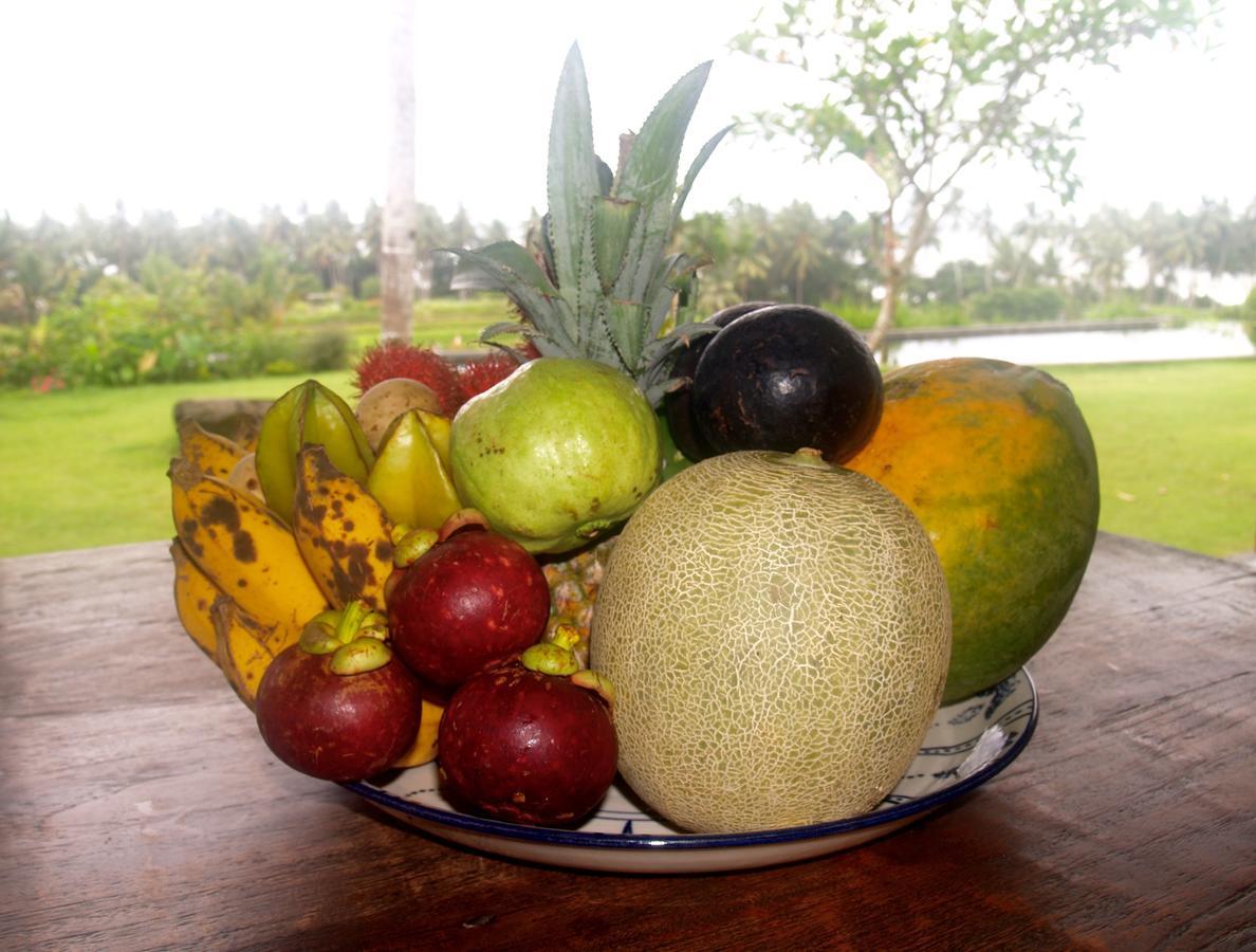 Bali Beach Eco Villas Pondok Matekap Selemadeg  ภายนอก รูปภาพ