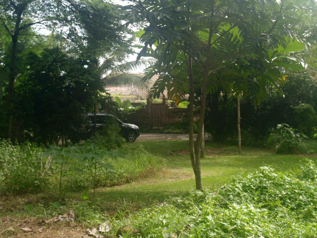 Bali Beach Eco Villas Pondok Matekap Selemadeg  ภายนอก รูปภาพ