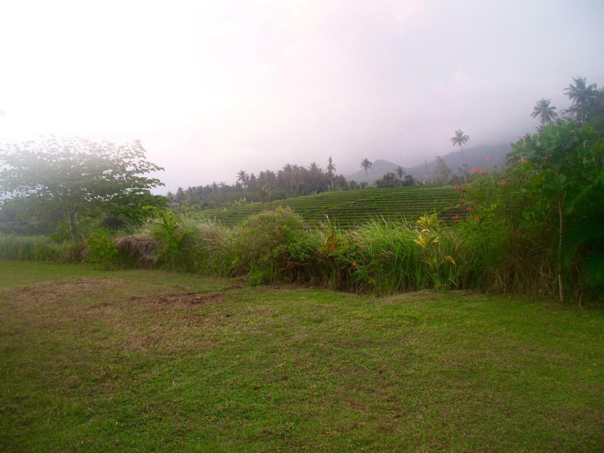 Bali Beach Eco Villas Pondok Matekap Selemadeg  ภายนอก รูปภาพ