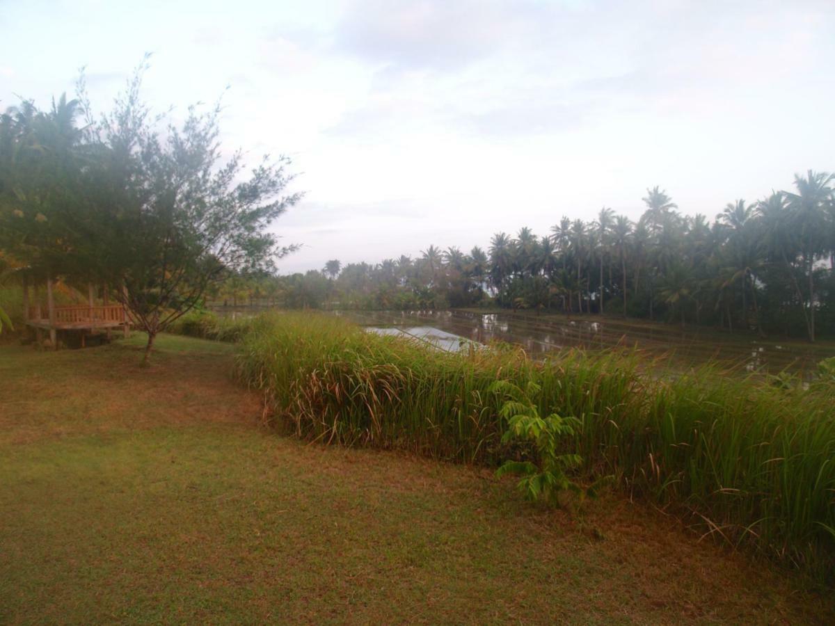 Bali Beach Eco Villas Pondok Matekap Selemadeg  ภายนอก รูปภาพ