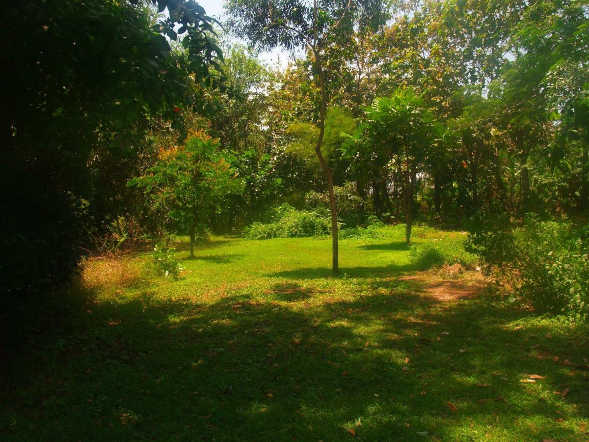 Bali Beach Eco Villas Pondok Matekap Selemadeg  ภายนอก รูปภาพ