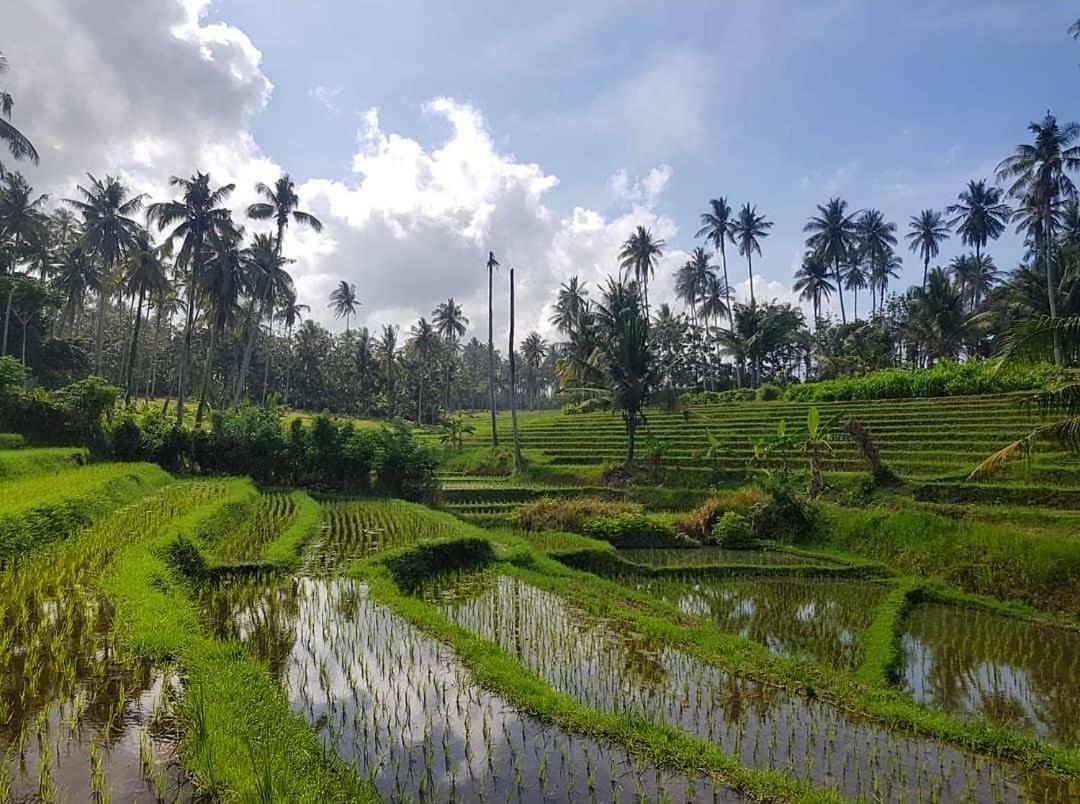 Bali Beach Eco Villas Pondok Matekap Selemadeg  ภายนอก รูปภาพ